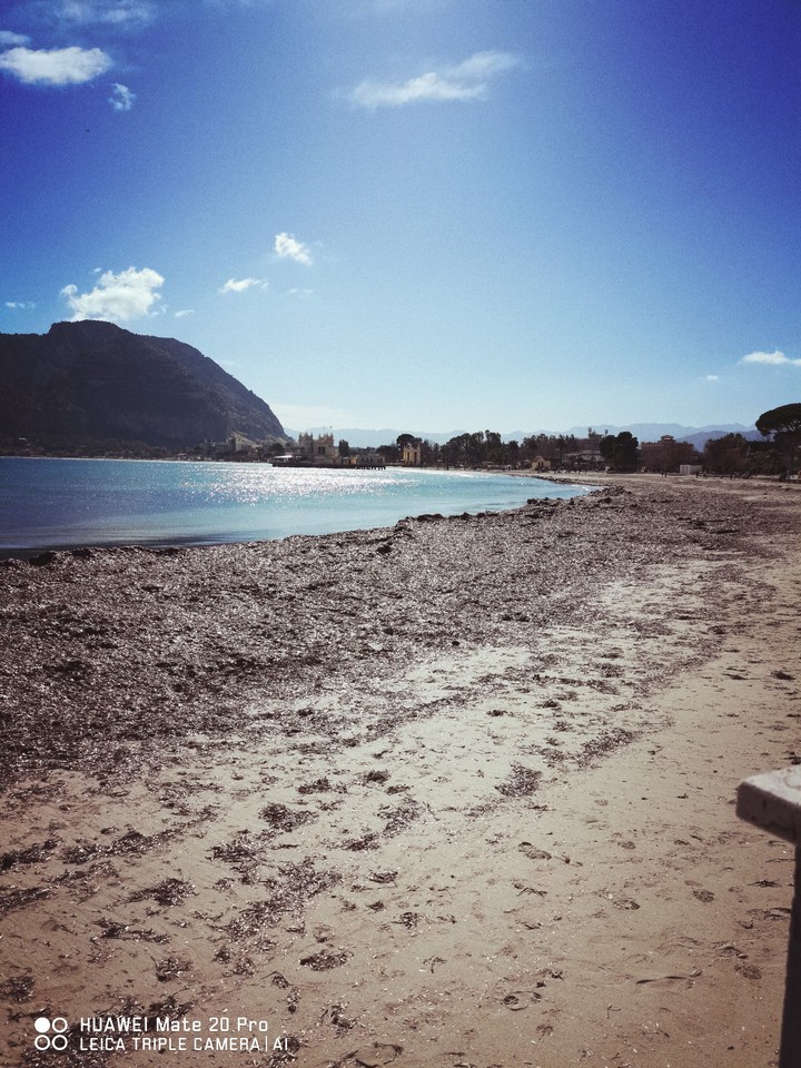 Mondello