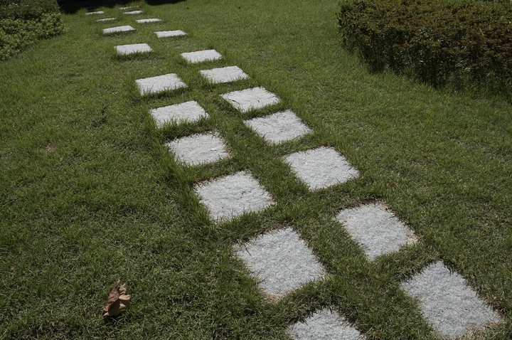 Grass
