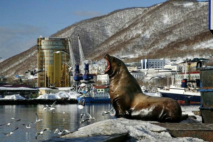 Petropavlovsk, Kamchatka