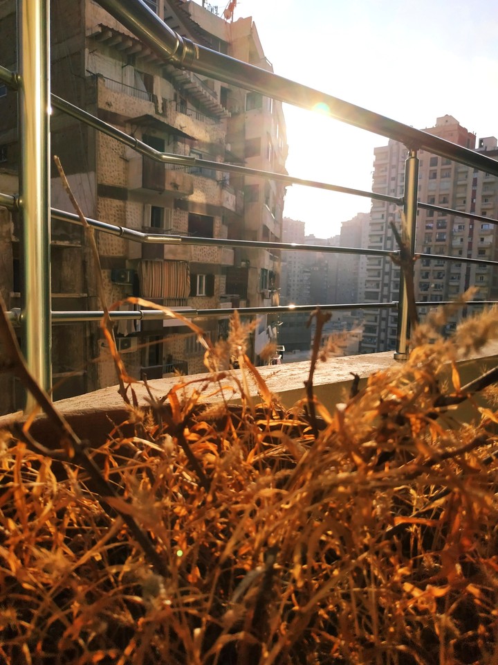 balcony view