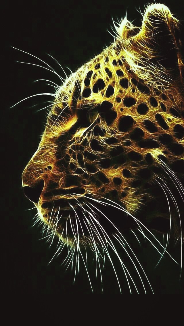 #animal