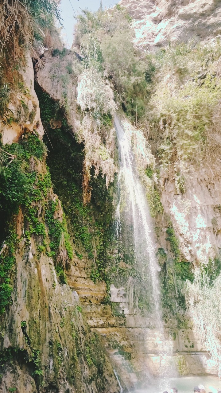Ein Gedi israel