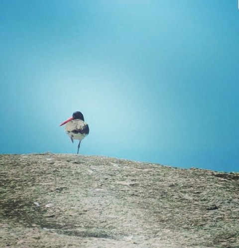 punta del diablo