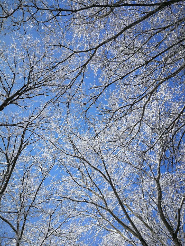 White and Blue