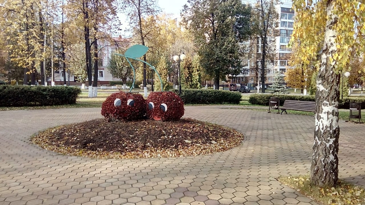 осень