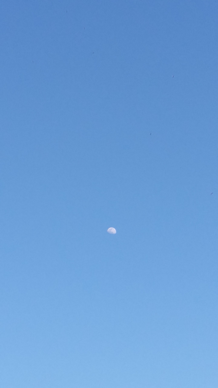 moon shape