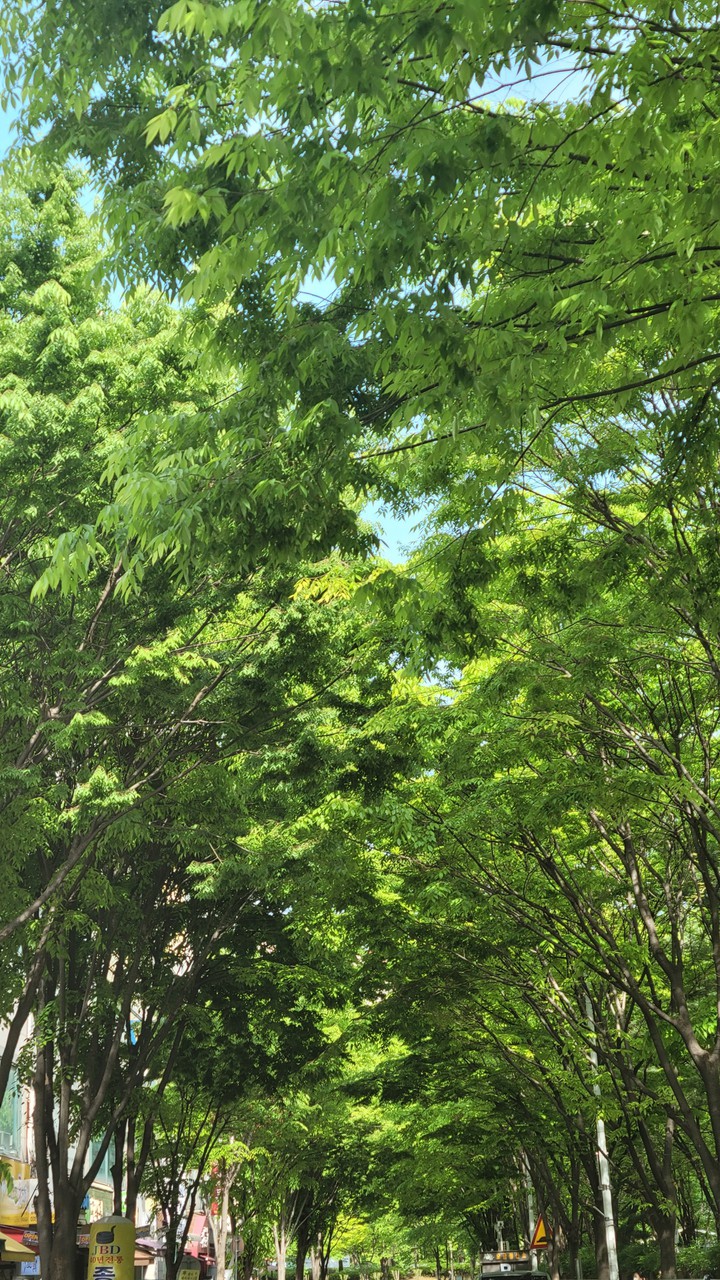 green