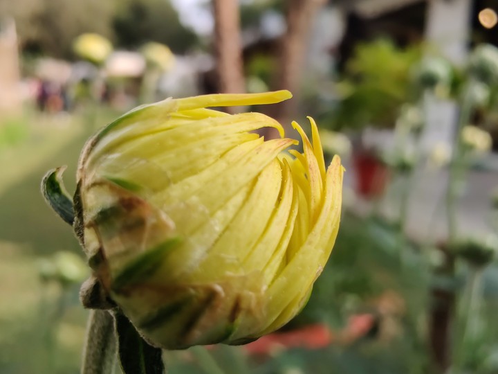 Colors of nature(4)