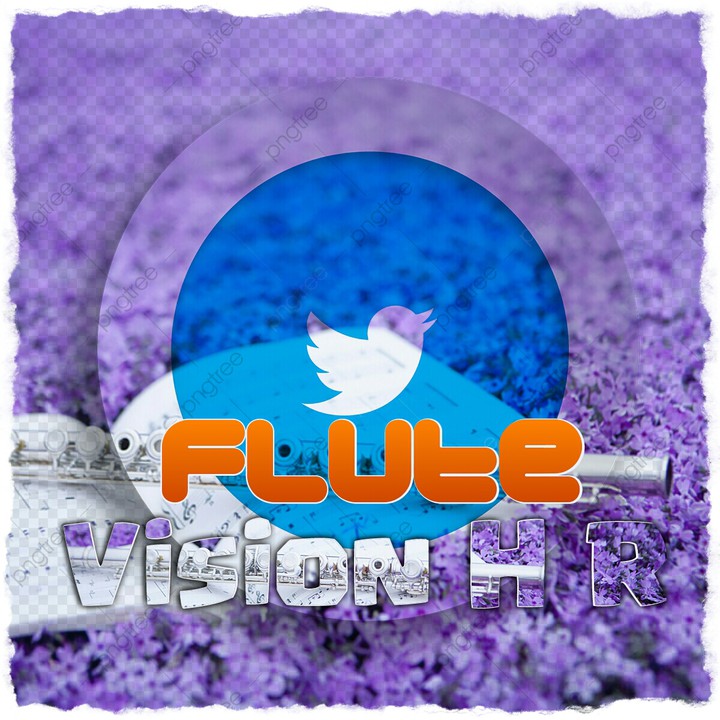 flute vision h r