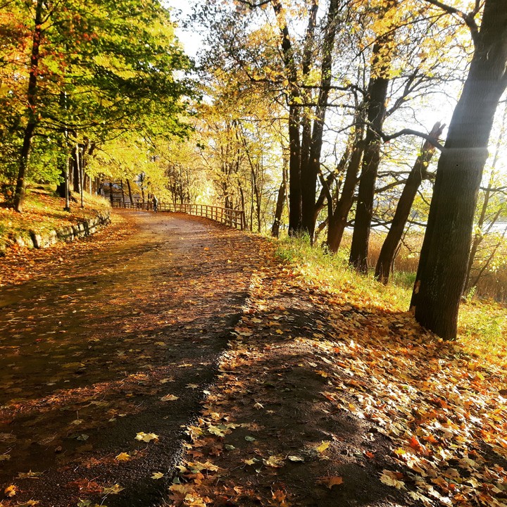 Fall in Helsinki