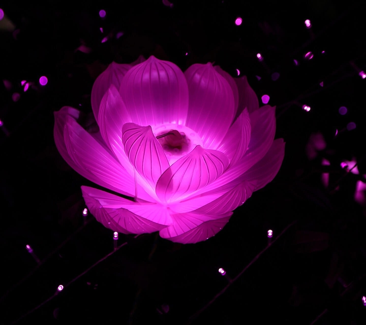 Dark Flower Special