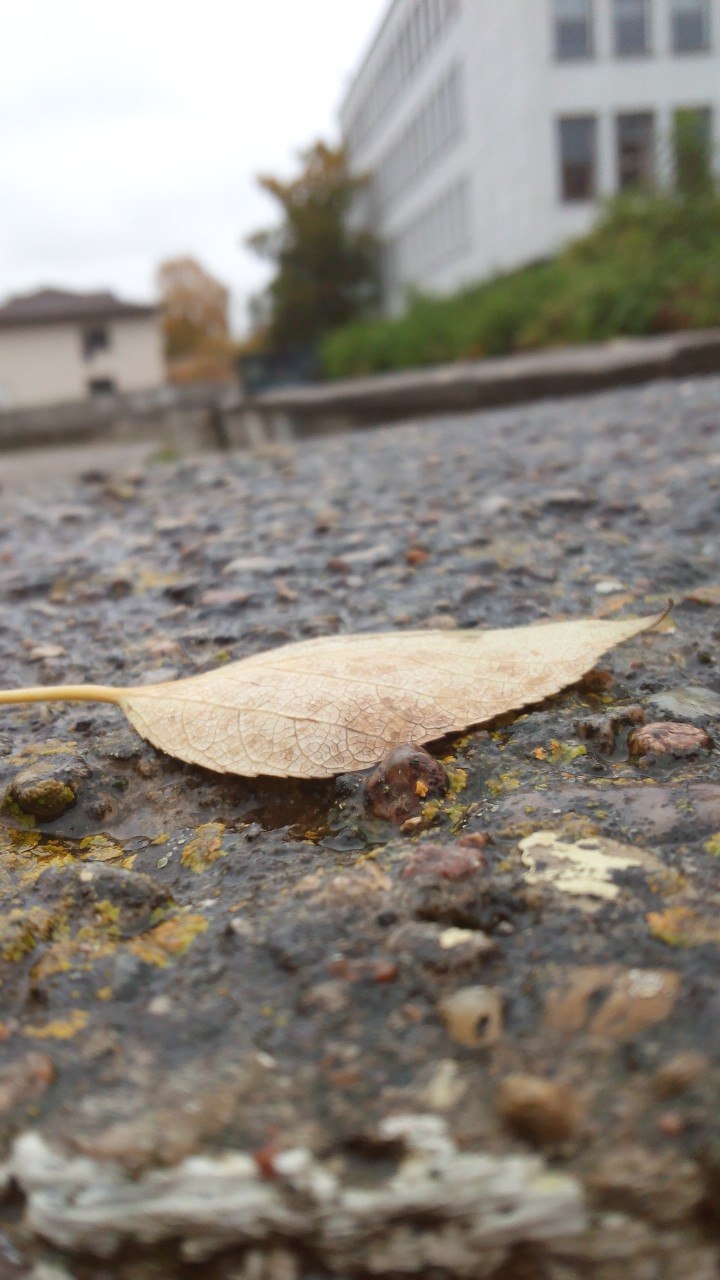 Belarus autumn