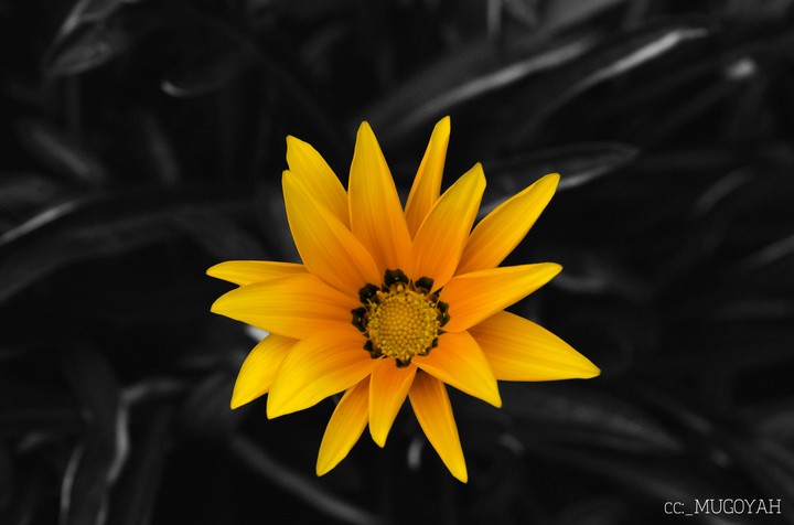 stand out. always