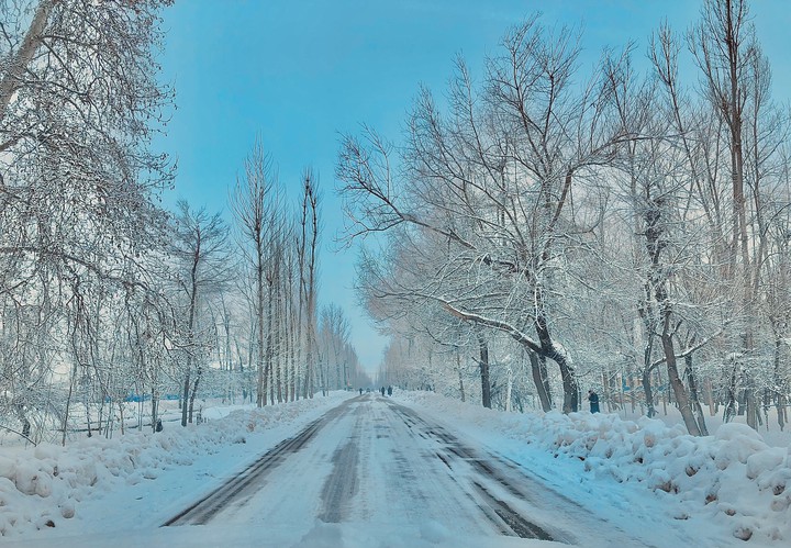Kashmir