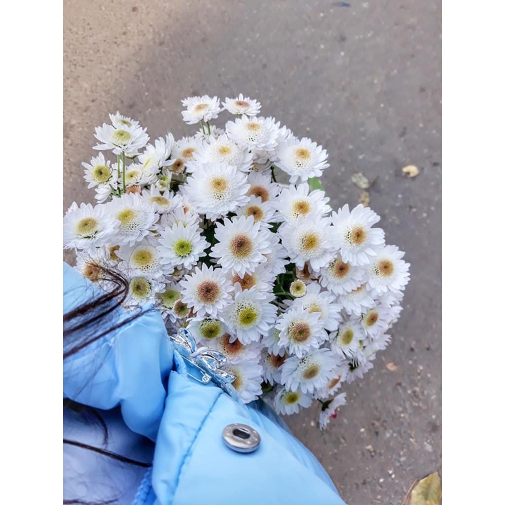 цветы