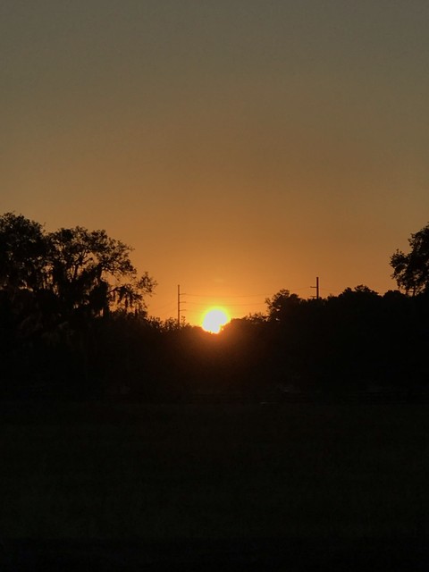 sunset