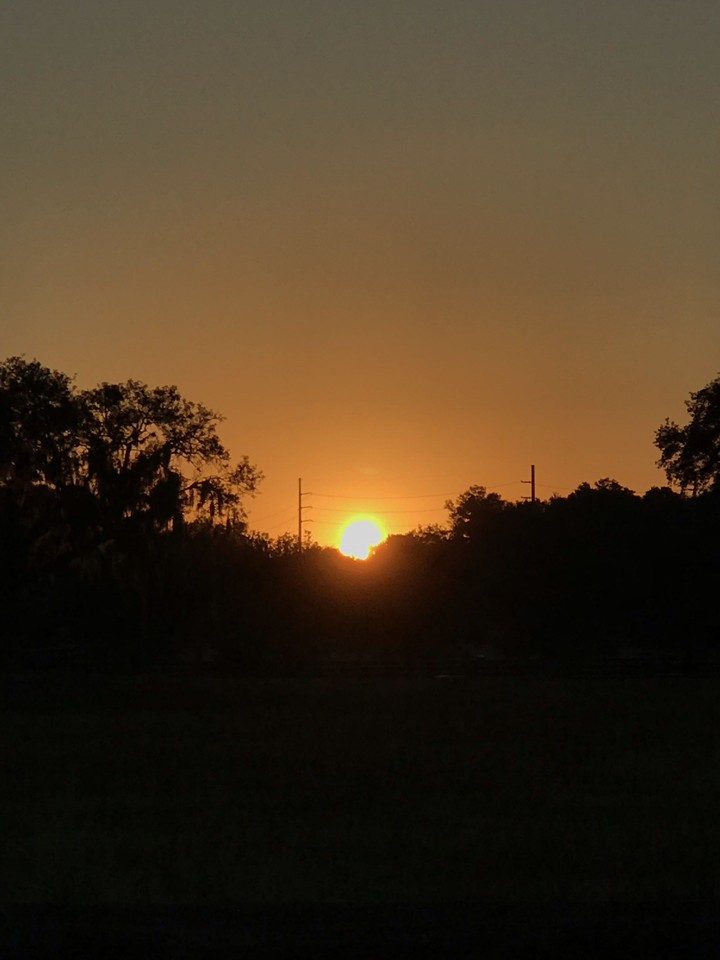 sunset
