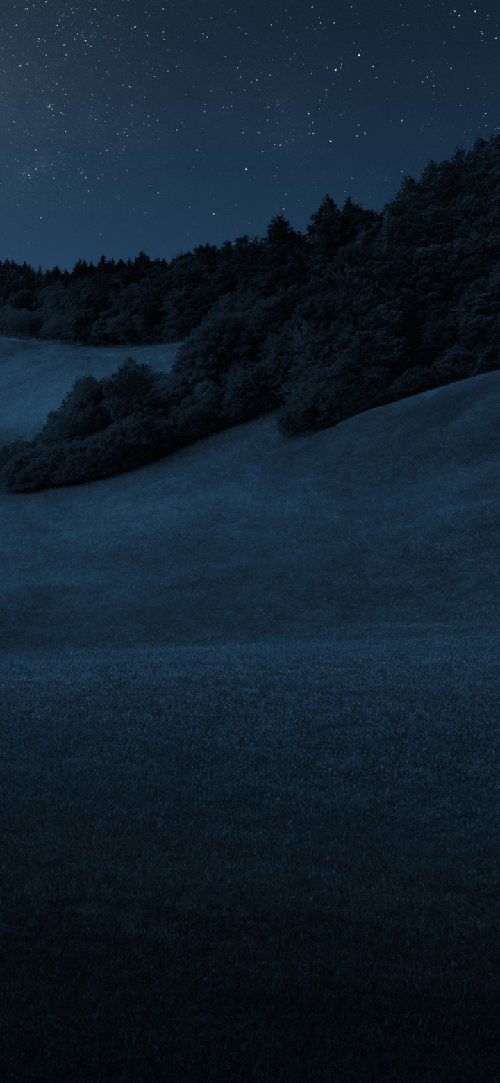 Wallpaper