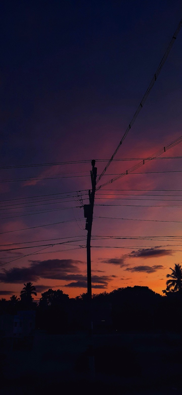 The Dawn
