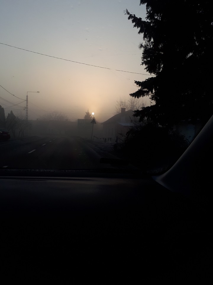 morning