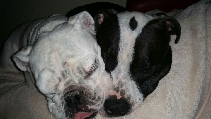 my boys
