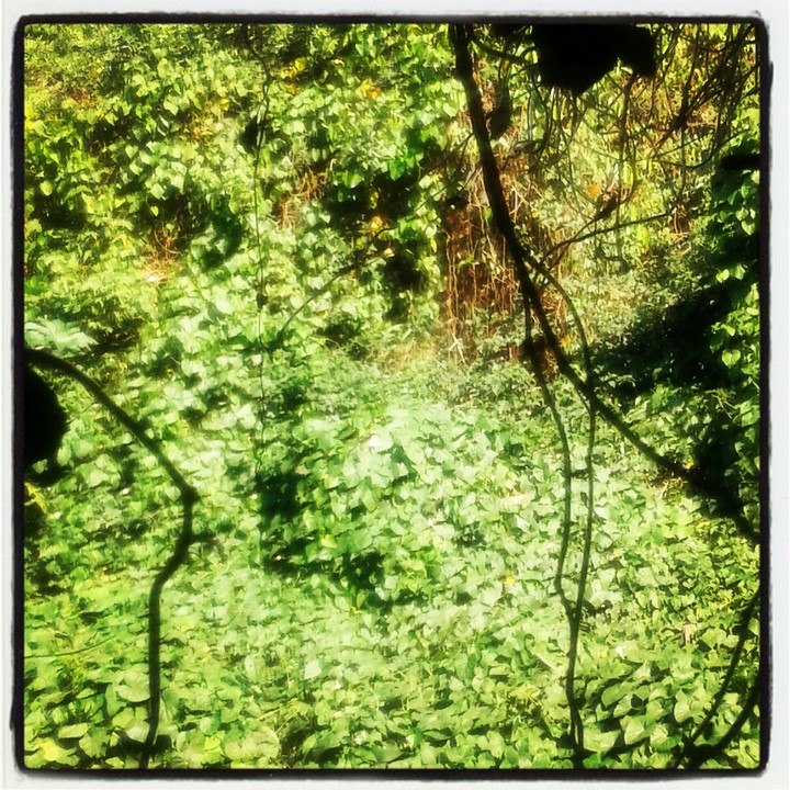 Natureza