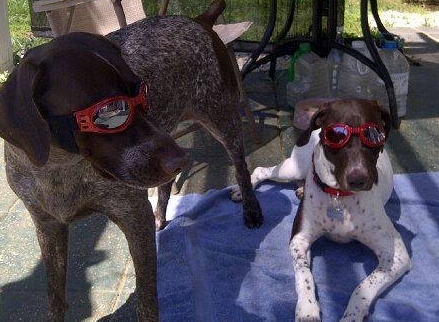 Coco & Gracie