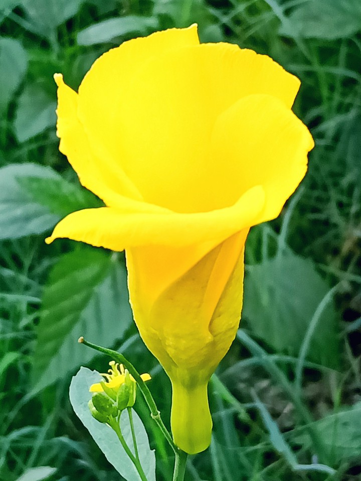 clicked by me