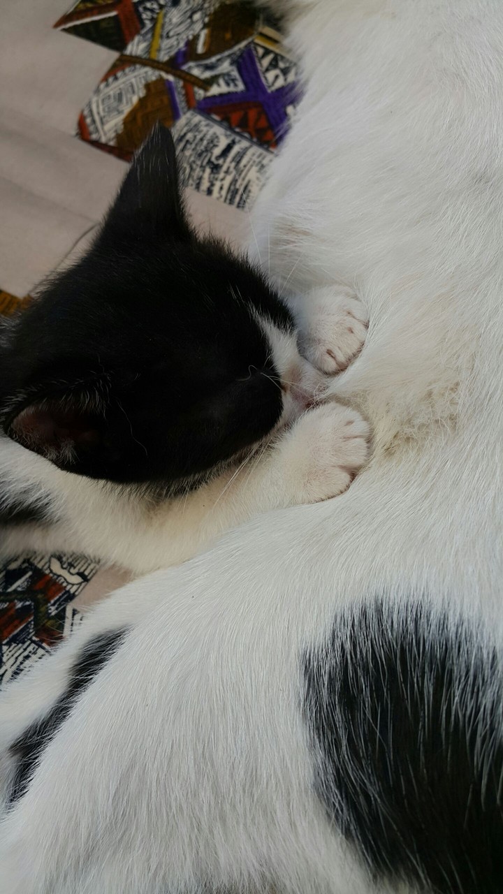 Motherhood