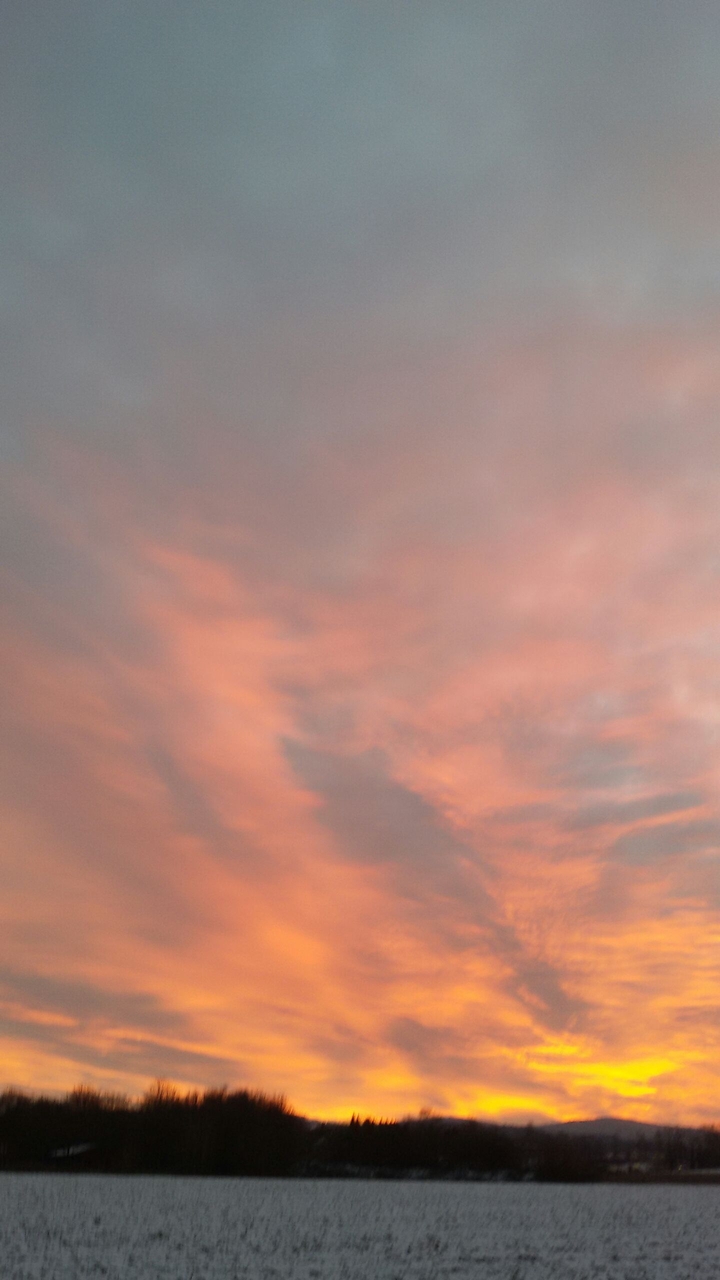 golden sky