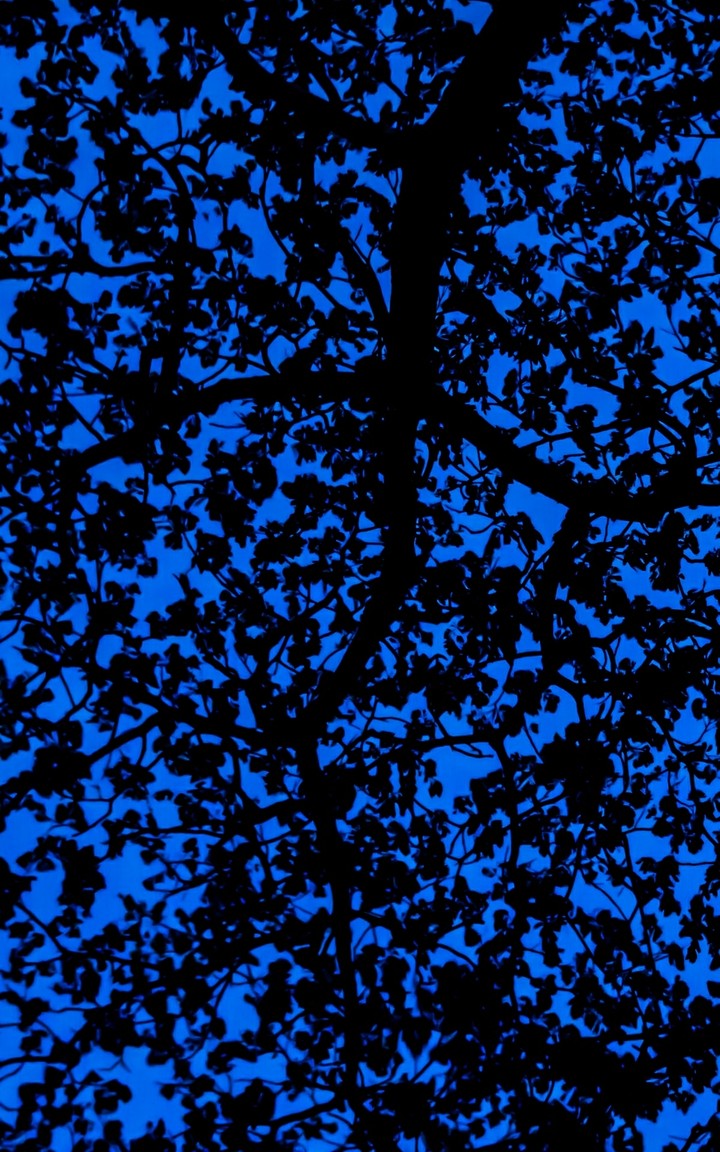 Blue sky
