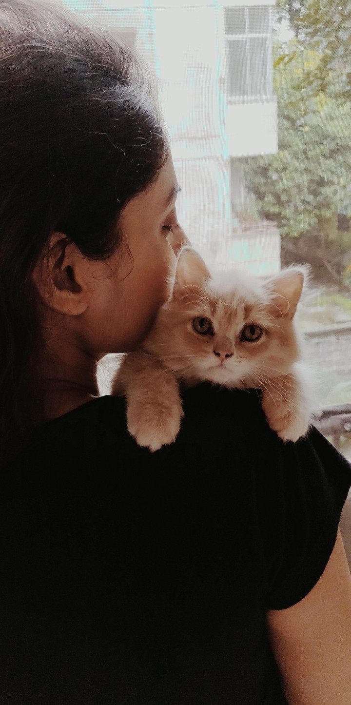 "Flash is the name, hooman!!"