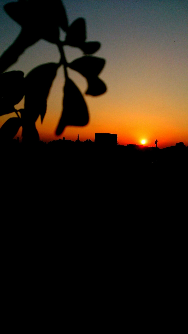 Chennai Evening