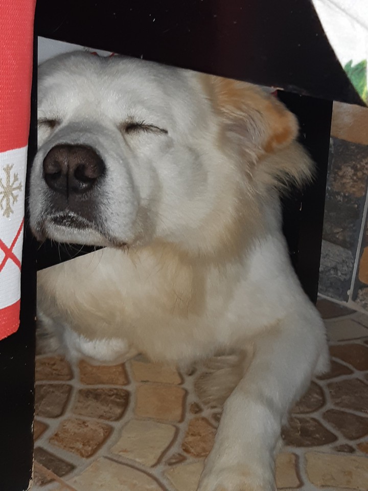 Max
