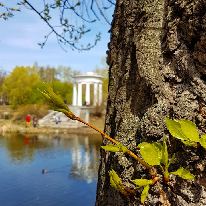 Харитоновский парк. Екатеринбург.
