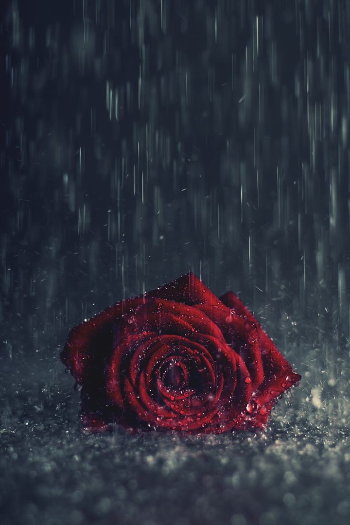 Burning red..