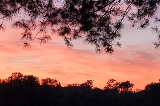 Good Morning Monday
