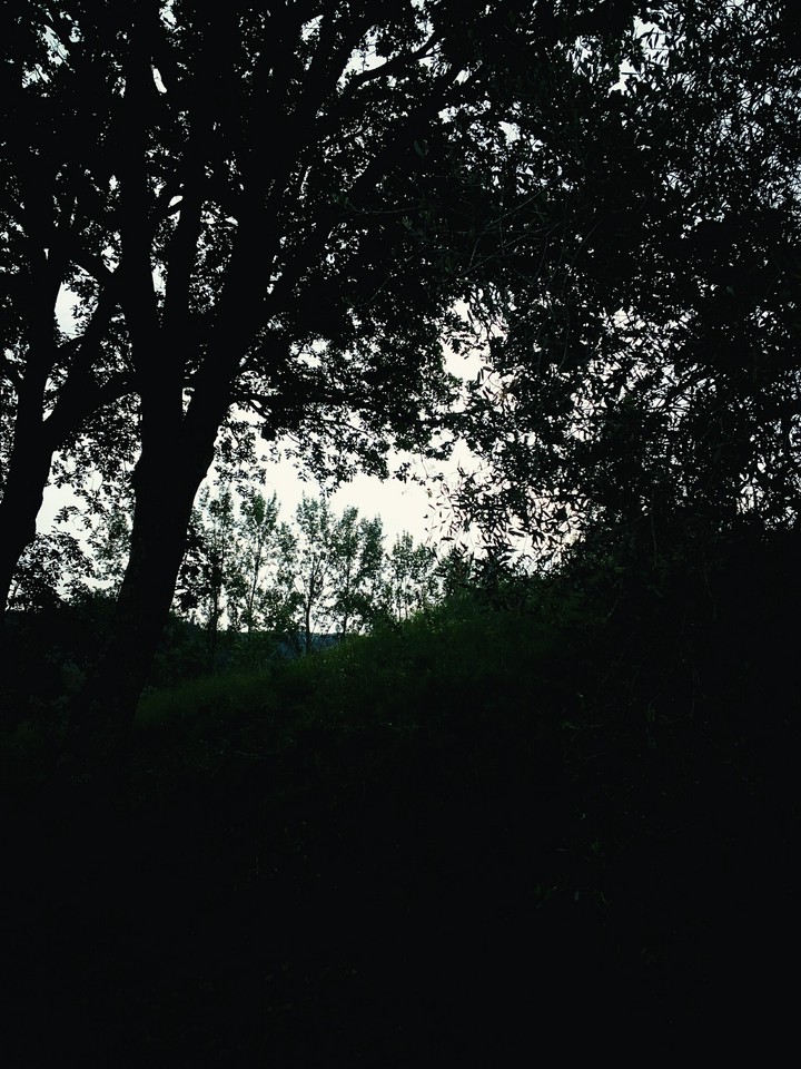Shadow