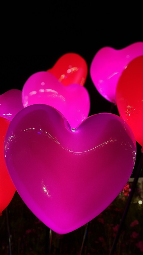 heart