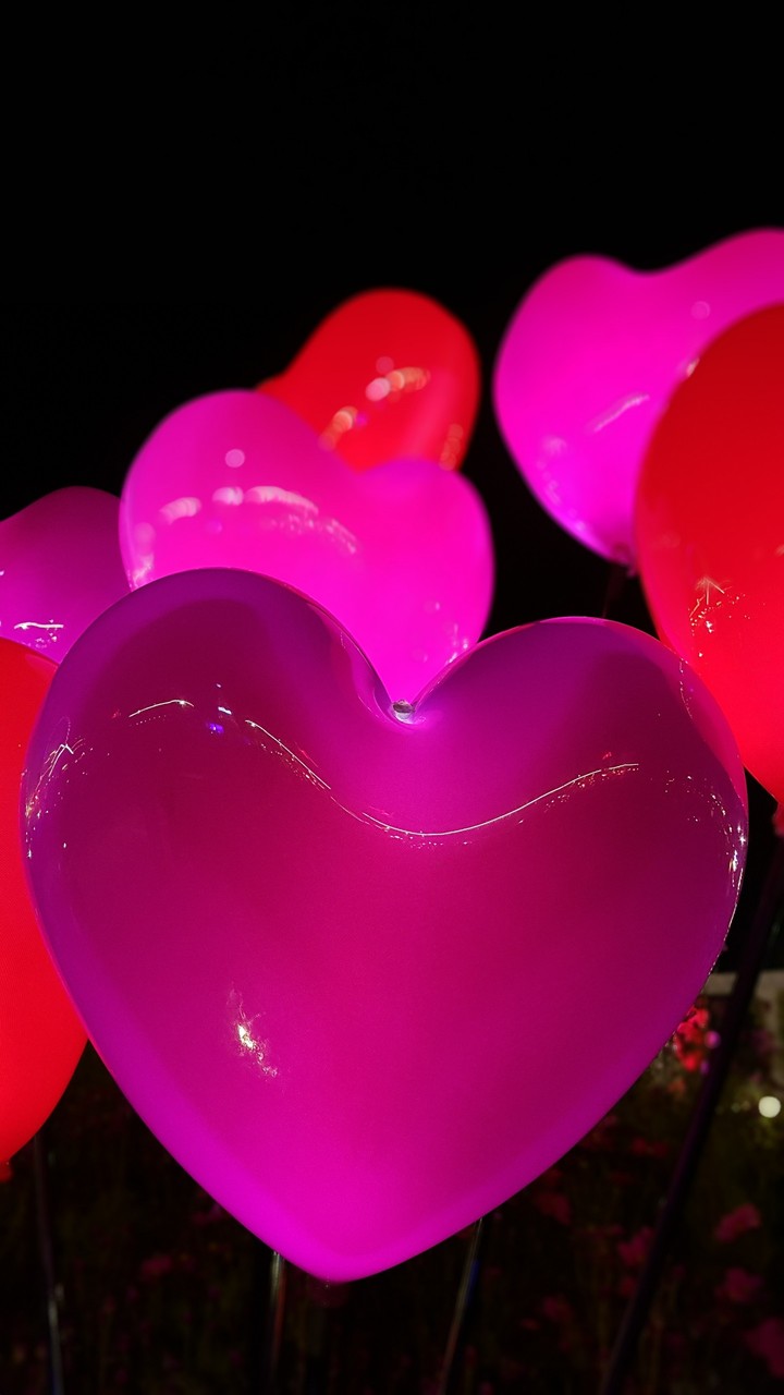 heart