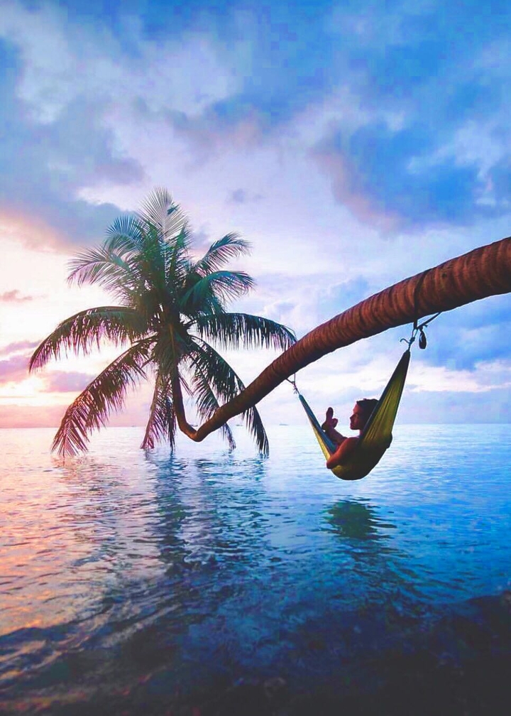 Vacation 
