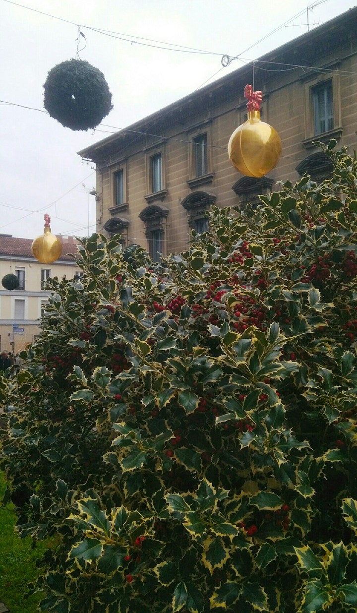 Natale si avvicina