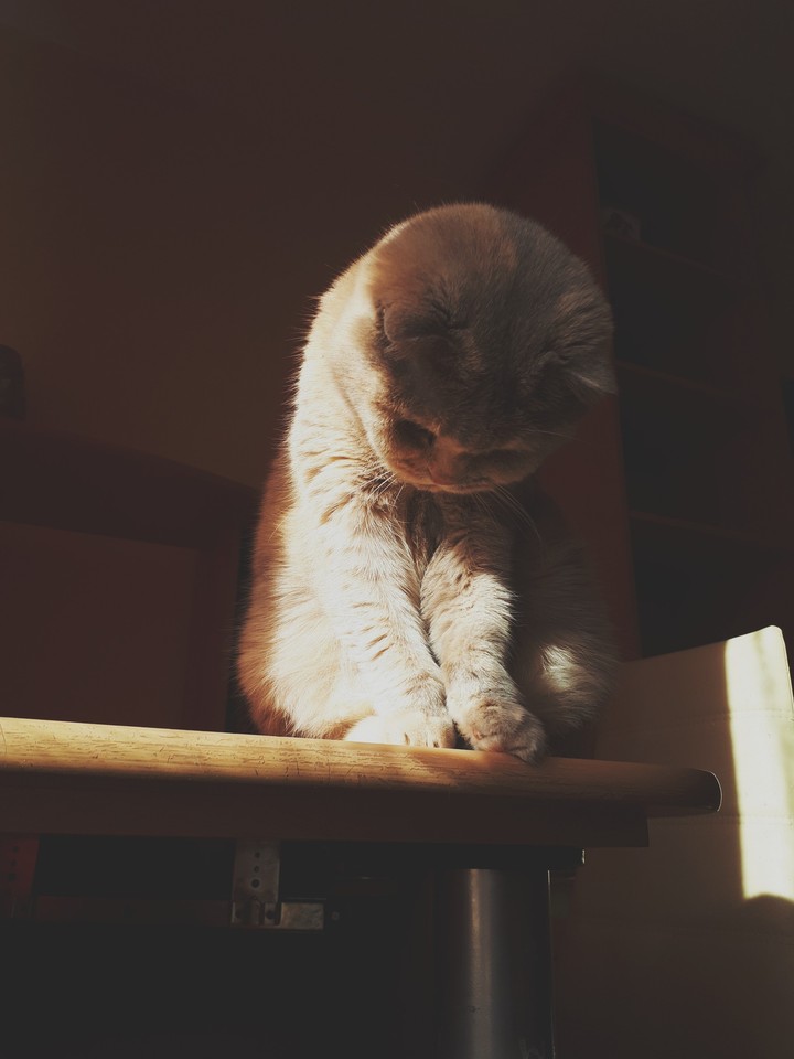 ♡