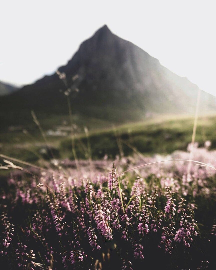 Scotland