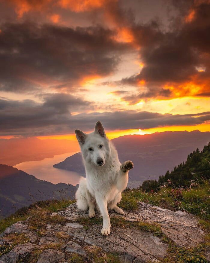 ❤