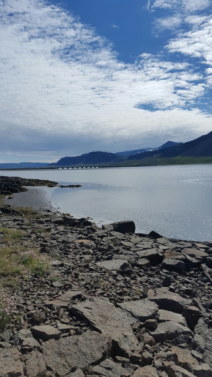 Coastland in Iceland