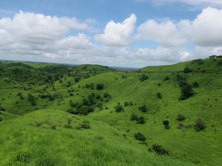 Heavenly Hills 5