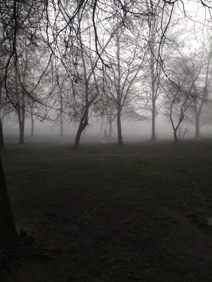 fog_Grodno_1