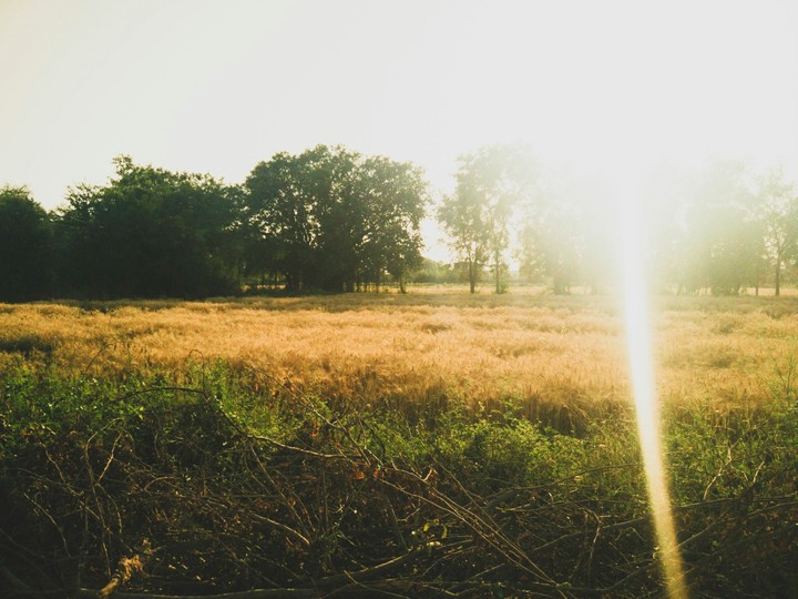 Nature