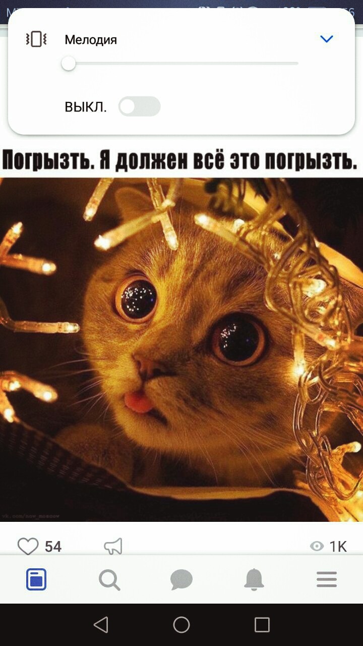 грызуха
